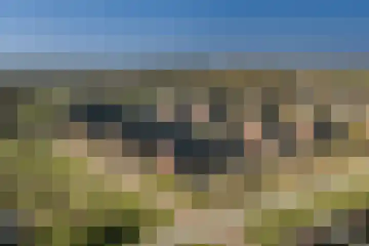 Bonenakker 42 Twello thumbnail 37