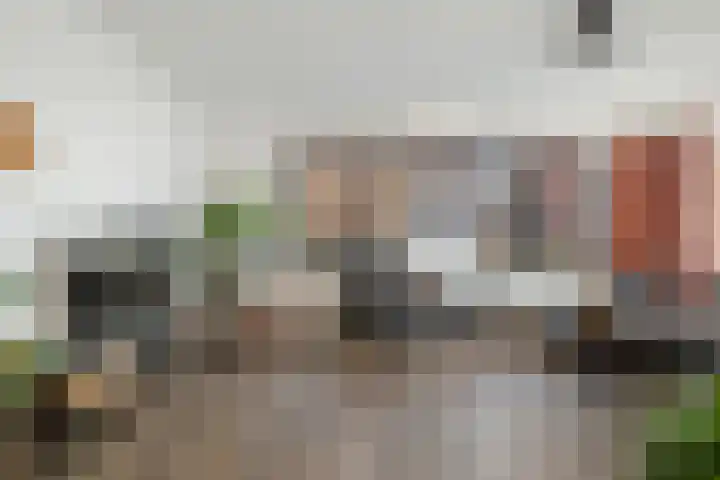 Bonenakker 42 Twello thumbnail 5