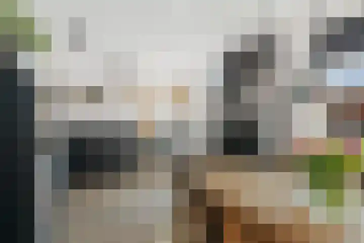 Bonenakker 42 Twello thumbnail 7