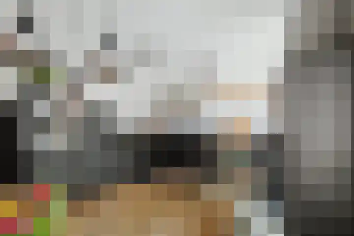 Bonenakker 42 Twello thumbnail 8