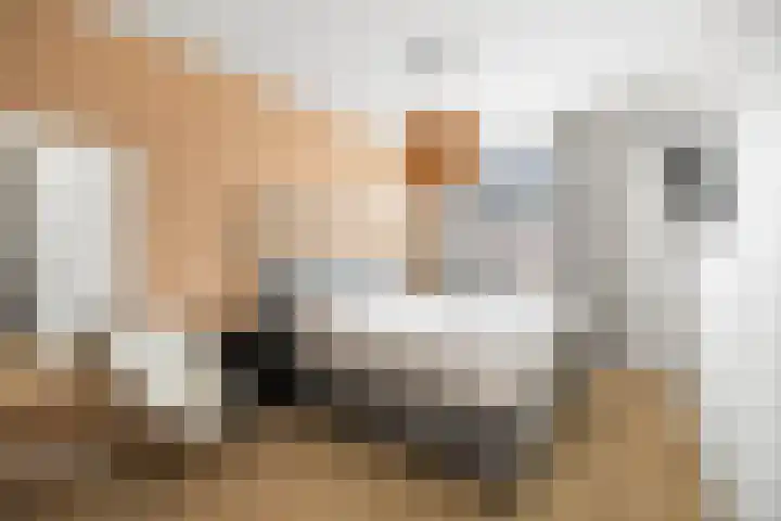 Bonenakker 46 Twello thumbnail 14