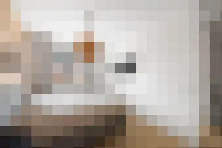Bonenakker 46 Twello thumbnail 15
