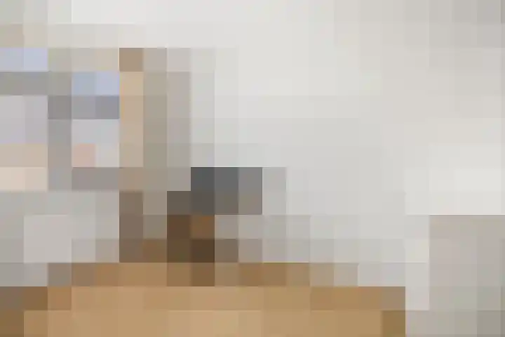 Bonenakker 46 Twello thumbnail 18