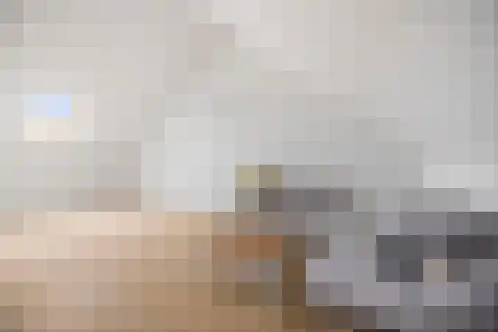 Bonenakker 46 Twello thumbnail 24