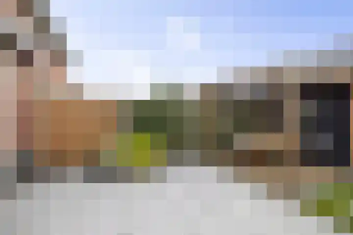 Bonenakker 46 Twello thumbnail 27