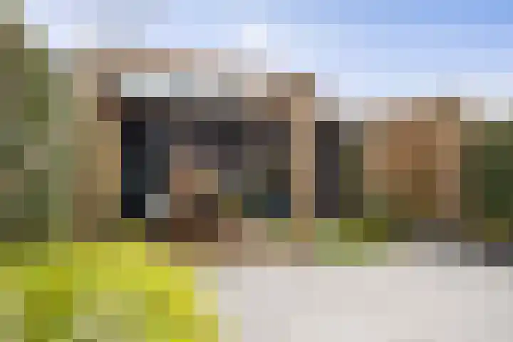 Bonenakker 46 Twello thumbnail 28