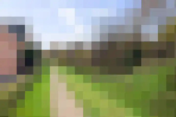 Bonenakker 46 Twello thumbnail 34