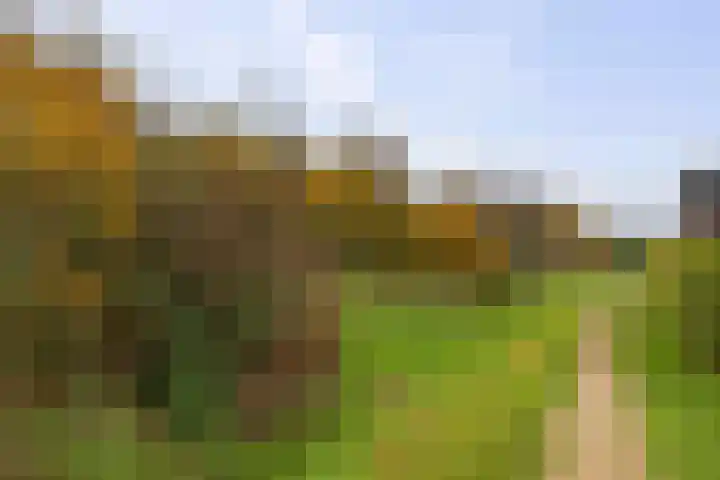 Bonenakker 46 Twello thumbnail 35