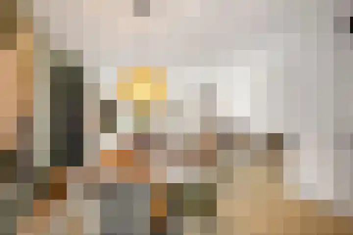 Bonenakker 46 Twello thumbnail 7