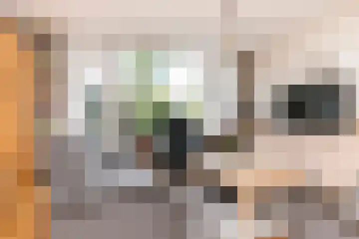 Bonenakker 7 Delfzijl thumbnail 10