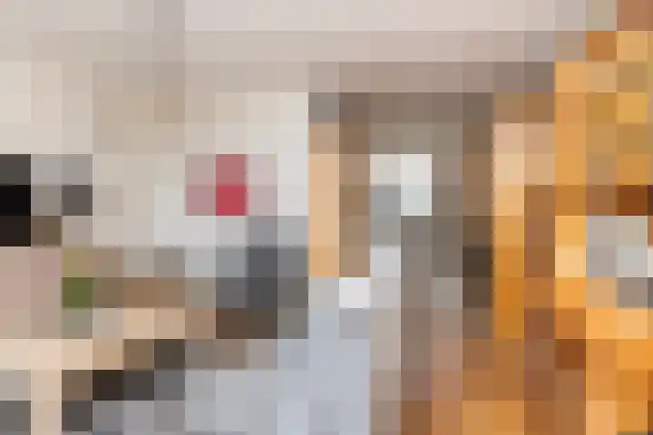 Bonenakker 7 Delfzijl thumbnail 12