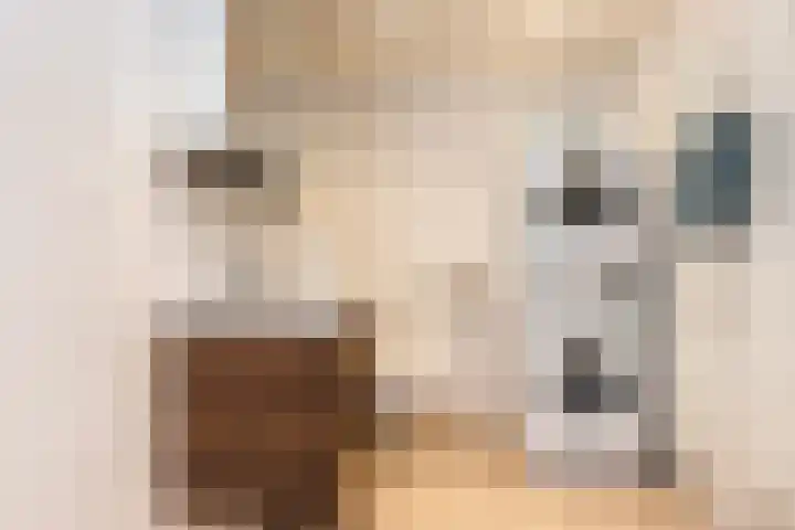 Bonenakker 7 Delfzijl thumbnail 17
