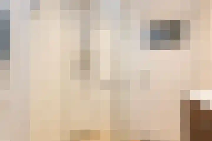 Bonenakker 7 Delfzijl thumbnail 19