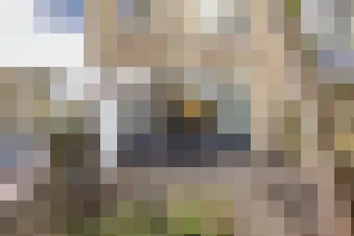 Bonenakker 7 Delfzijl thumbnail 30