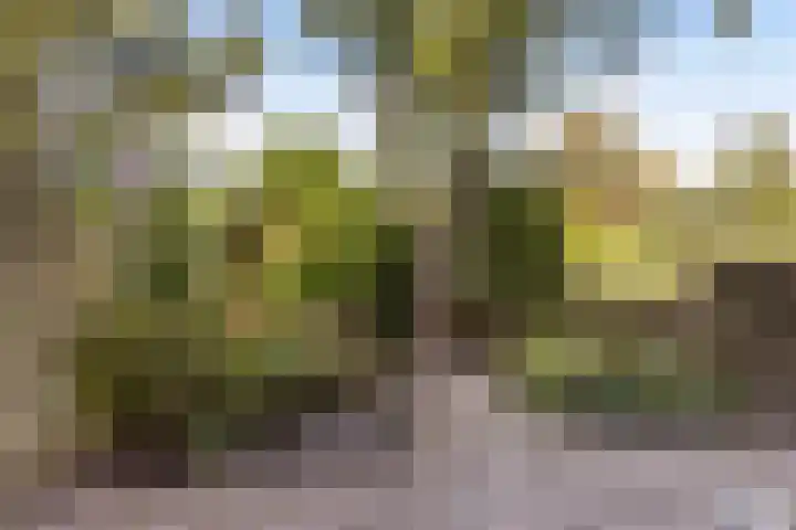 Bonenakker 7 Delfzijl thumbnail 31