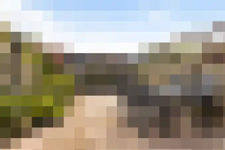 Bonenakker 7 Delfzijl thumbnail 33