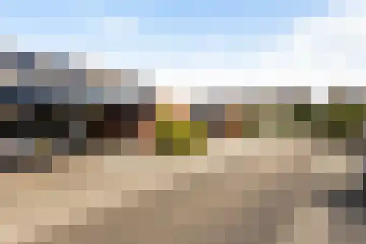 Bonenakker 7 Delfzijl thumbnail 35