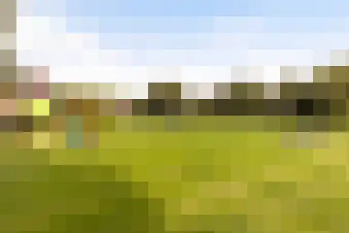 Bonenakker 7 Delfzijl thumbnail 36