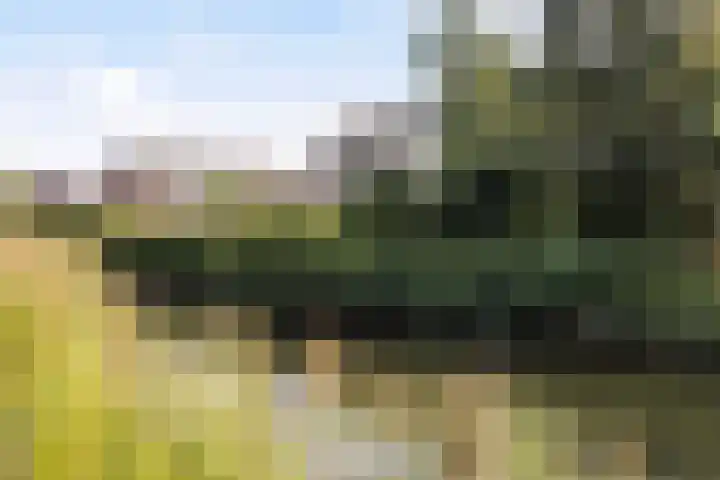 Bonenakker 7 Delfzijl thumbnail 4