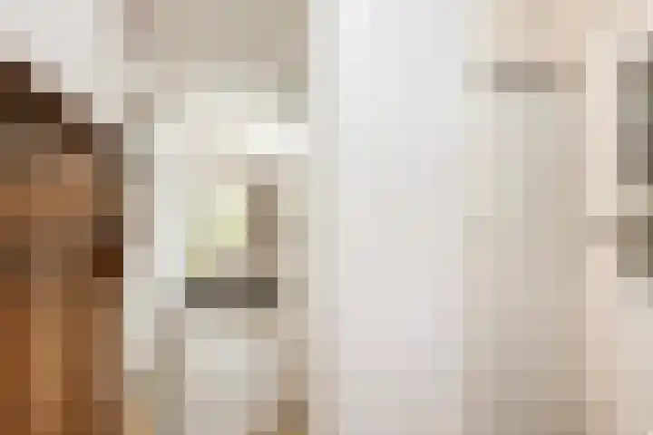 Bonenakker 7 Delfzijl thumbnail 8
