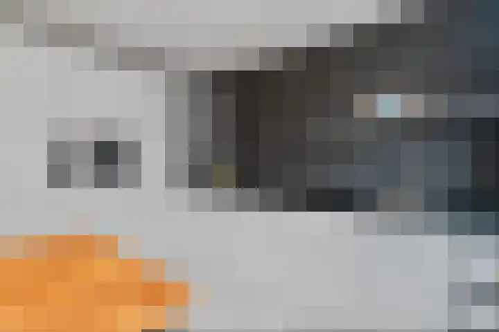 Bonenakker 9 Waddinxveen thumbnail 16