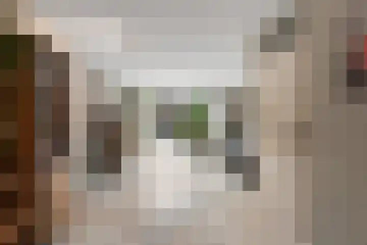 Bonenakker 9 Waddinxveen thumbnail 18