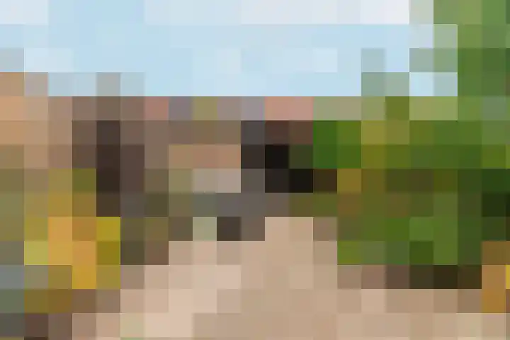Bonenakker 9 Waddinxveen thumbnail 35