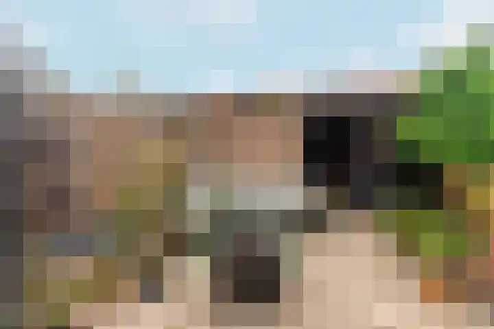 Bonenakker 9 Waddinxveen thumbnail 36