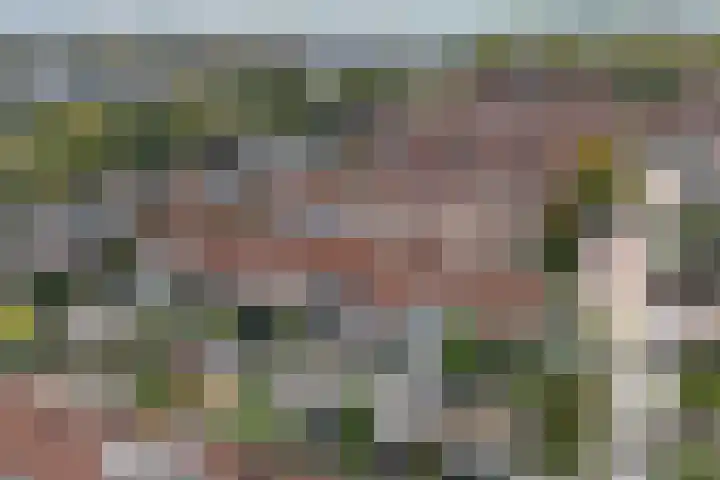 Bonenakker 9 Waddinxveen thumbnail 45
