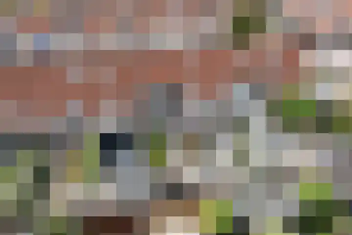 Bonenakker 9 Waddinxveen thumbnail 46