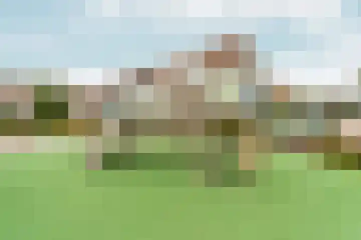 Bonenakker 9 Waddinxveen thumbnail 47