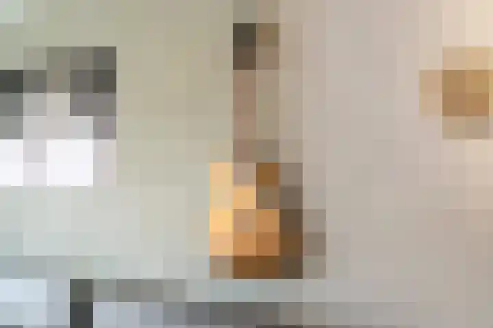 Bonenakker 9 Waddinxveen thumbnail 7