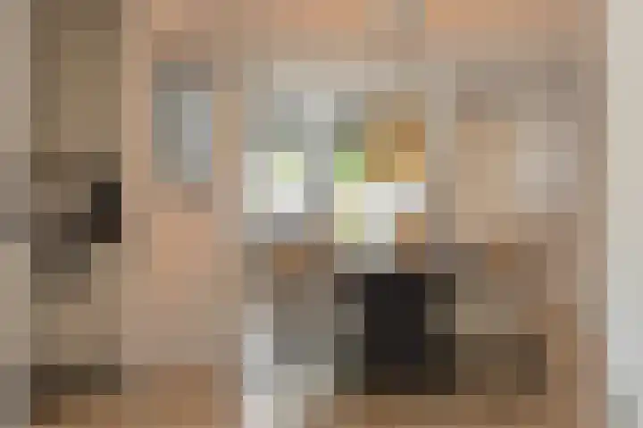 Bonenberg 22 Roermond thumbnail 17