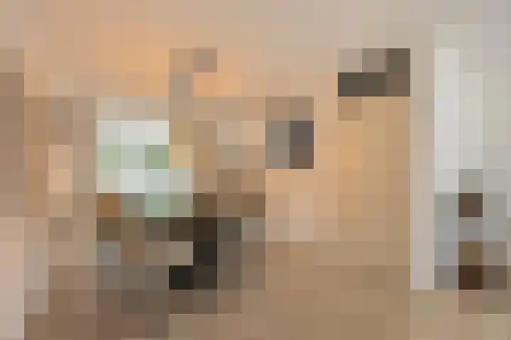Bonenberg 22 Roermond thumbnail 9