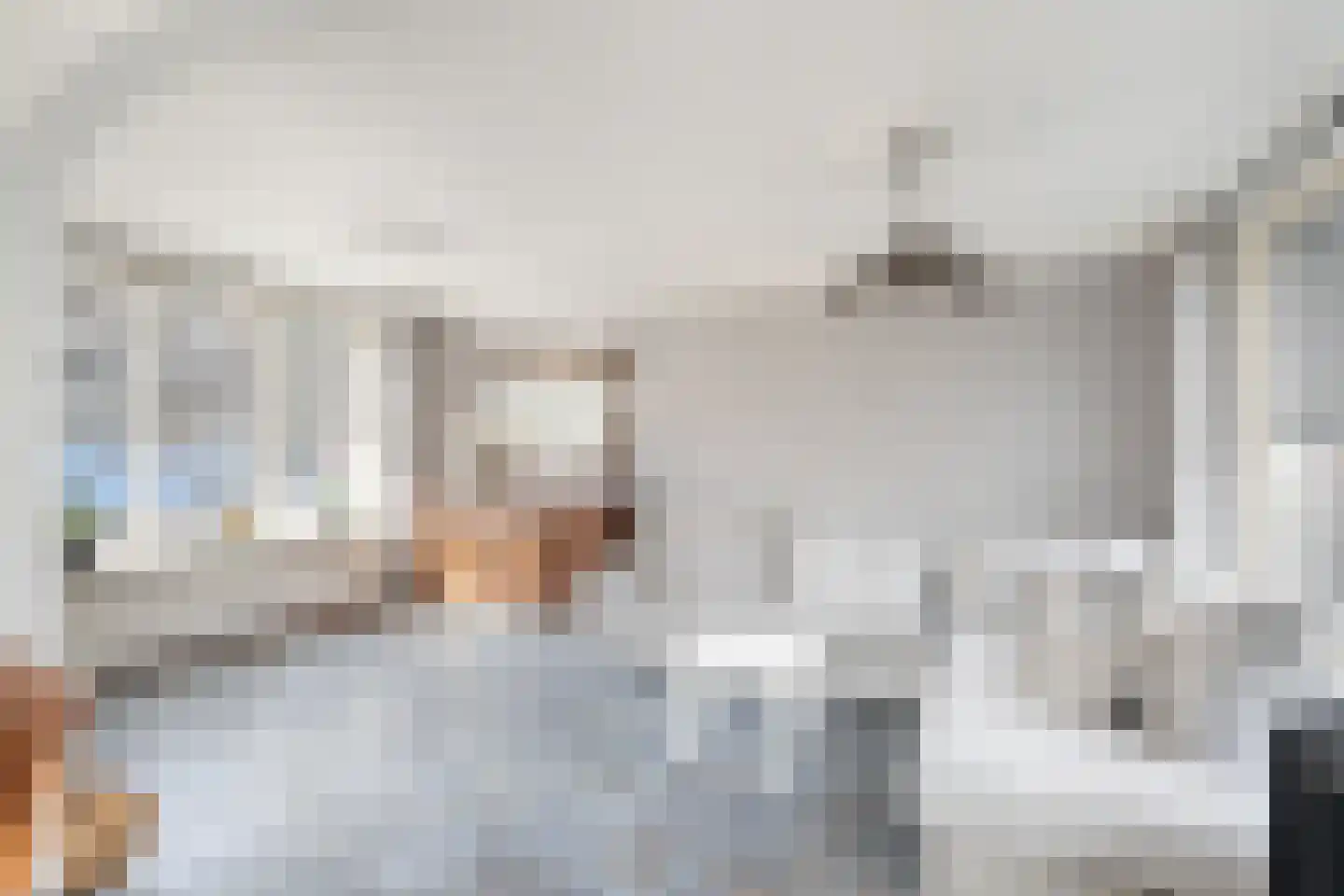 Bonenblokstraat 7 Oud-Vossemeer thumbnail 10
