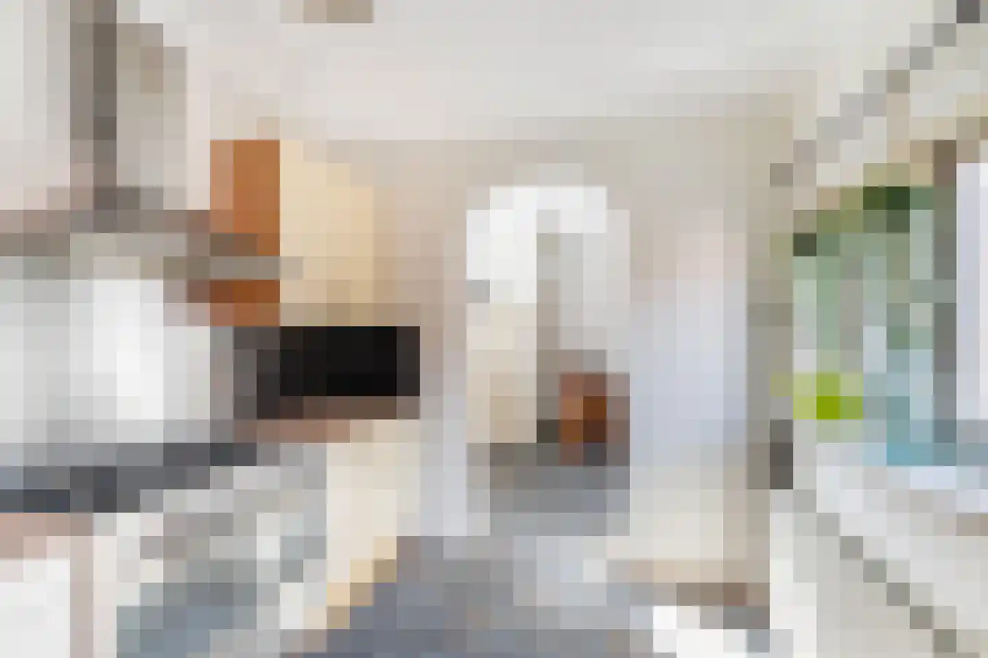 Bonenblokstraat 7 Oud-Vossemeer thumbnail 16