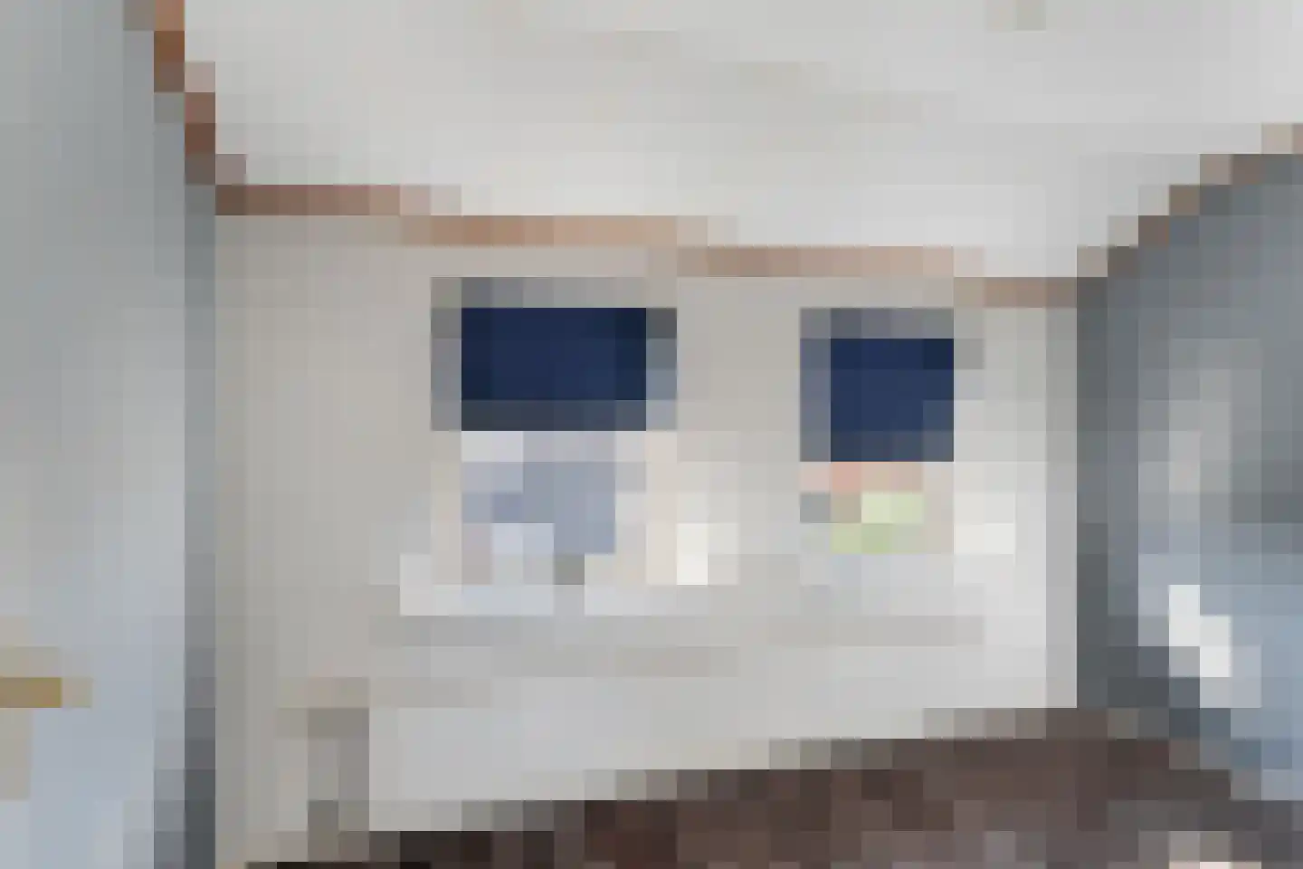 Bonenblokstraat 7 Oud-Vossemeer thumbnail 22