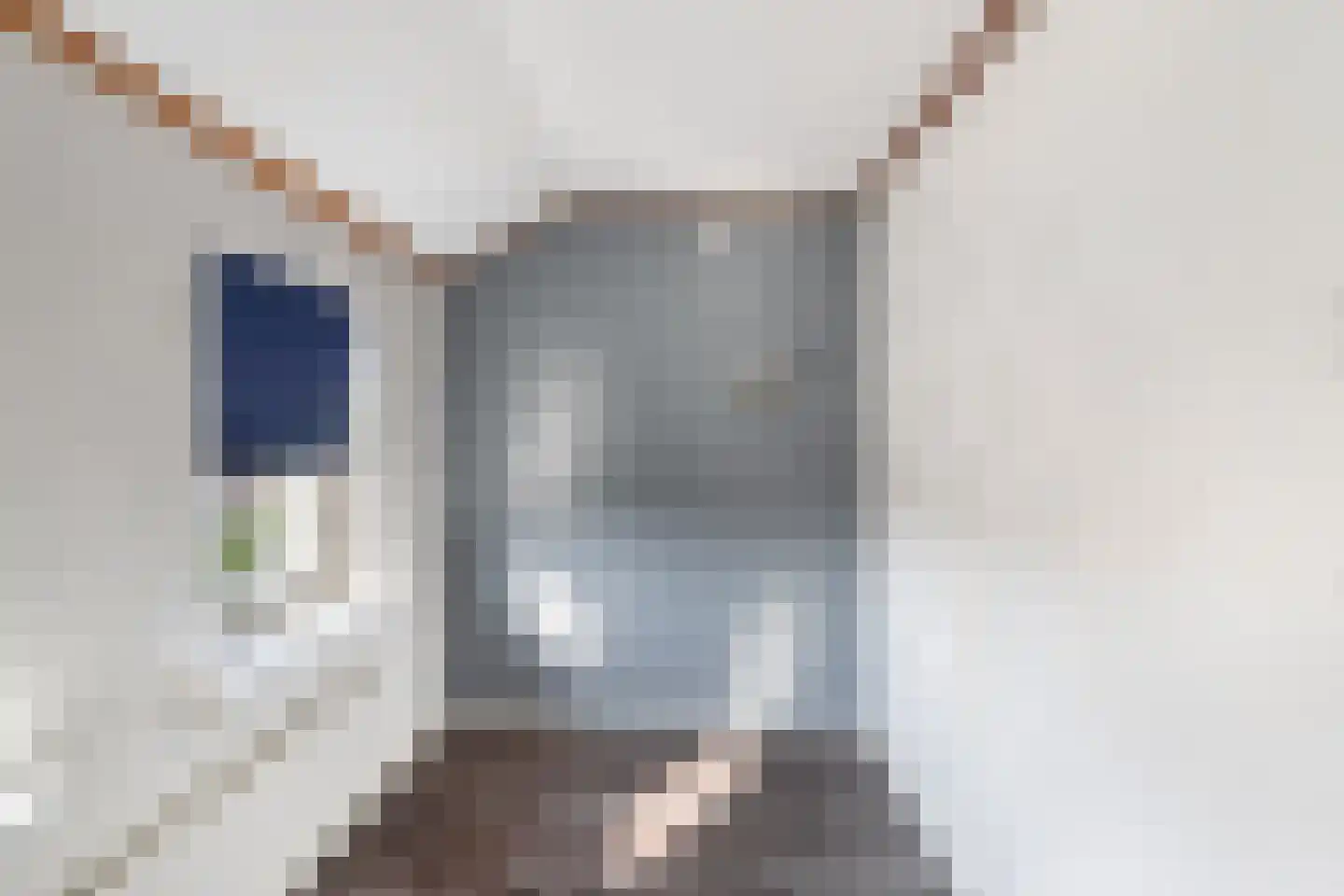 Bonenblokstraat 7 Oud-Vossemeer thumbnail 23