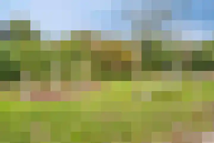 Bonenburg 7 Ugchelen thumbnail 27