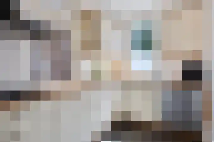 Bonenburgerlaan 15 Heerde thumbnail 10