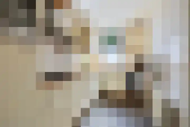 Bonenburgerlaan 15 Heerde thumbnail 11