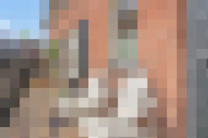 Bonenburgerlaan 15 Heerde thumbnail 20