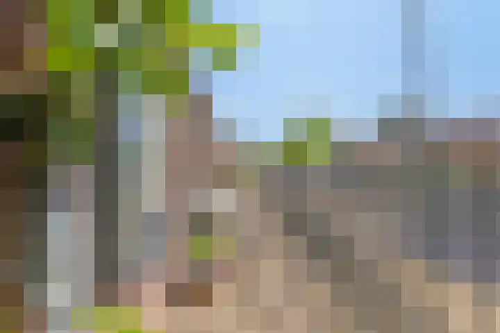 Bonenburgerlaan 15 Heerde thumbnail 21