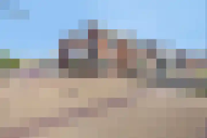 Bonenburgerlaan 15 Heerde thumbnail 24