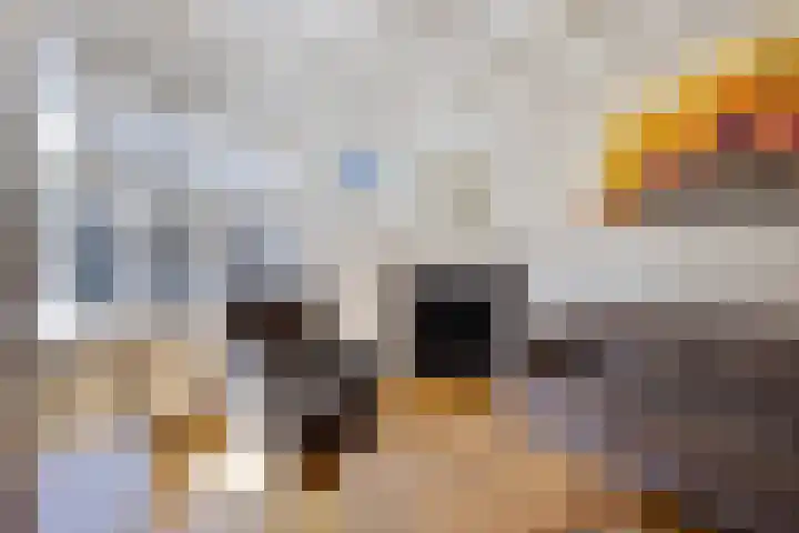 Bonenburgerlaan 15 Heerde thumbnail 4