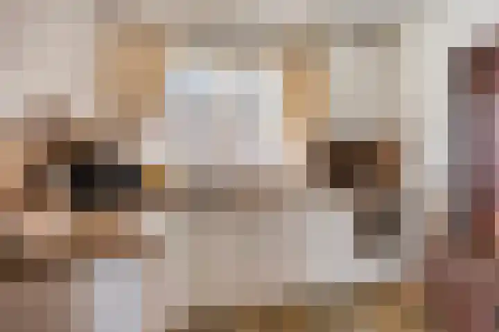 Bonenburgerlaan 84 Heerde thumbnail 14