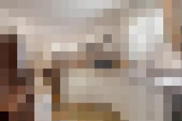 Bonenburgerlaan 84 Heerde thumbnail 15