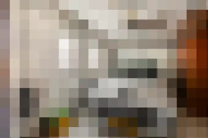Bonenburgerlaan 84 Heerde thumbnail 18