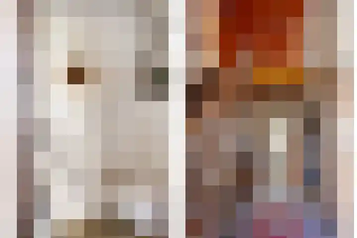 Bonenburgerlaan 84 Heerde thumbnail 19