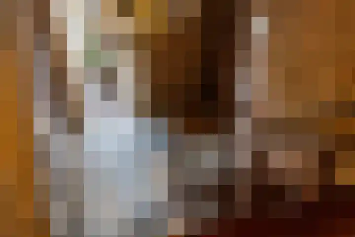 Bonenburgerlaan 84 Heerde thumbnail 22